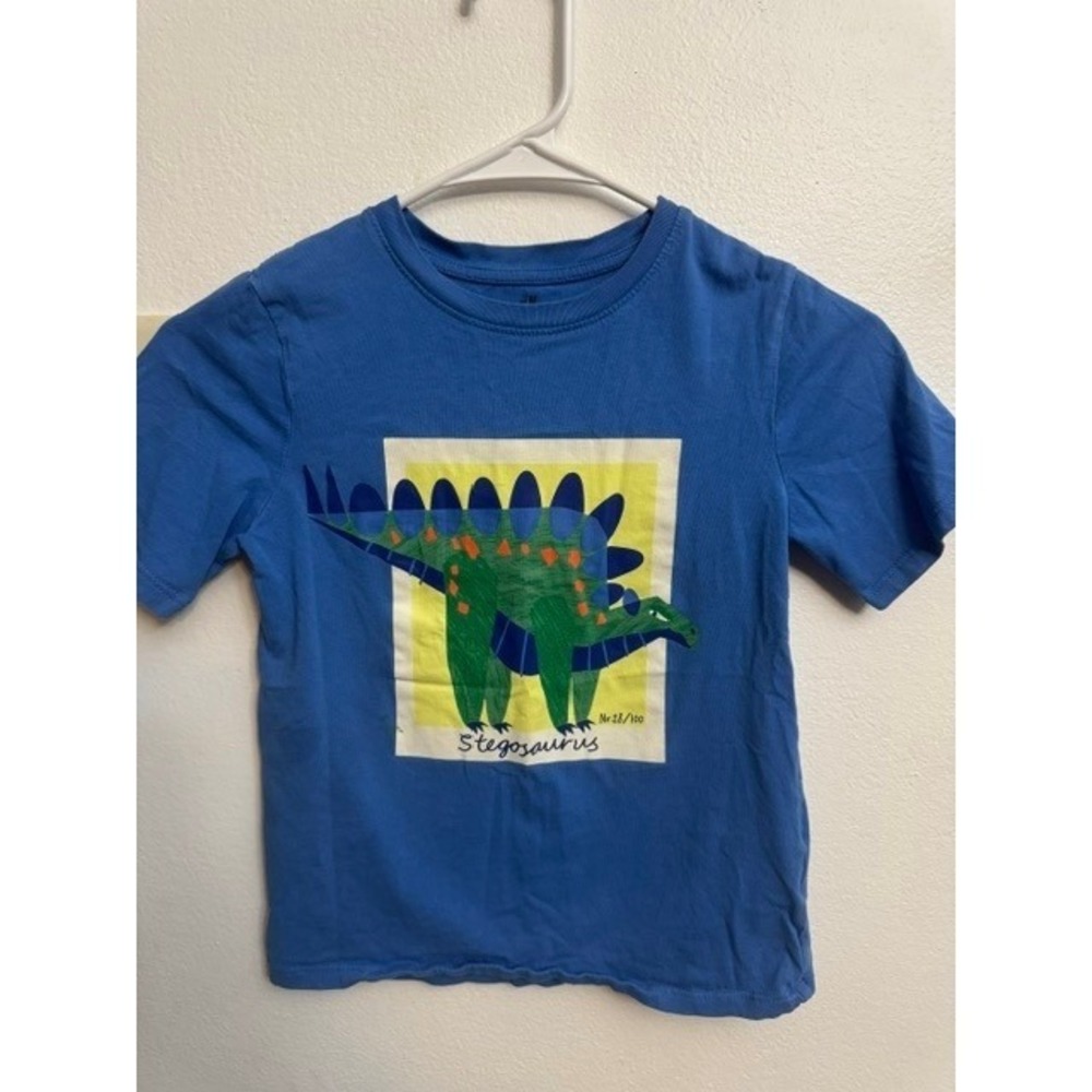 HM Kids Blue Stegosaurus Dinosaur Graphic T-Shirt SZ 6X 7 Short Sleeve (G)